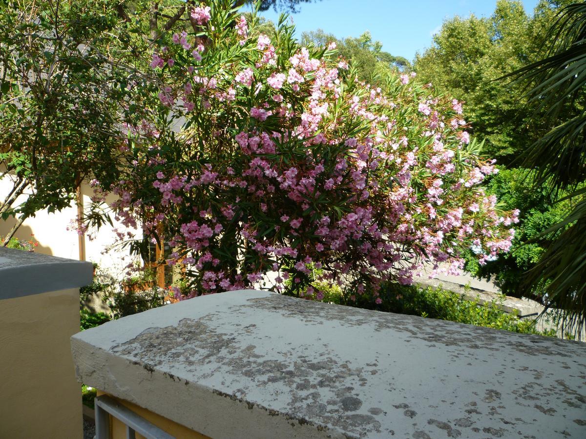 Villa Santa Margherita Cortona Esterno foto